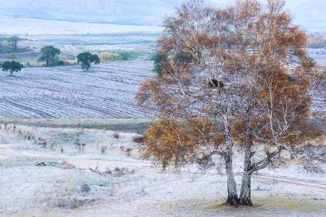 ˪��  �ִ�ʫ�� 170213yoporpoyeznx5q4x