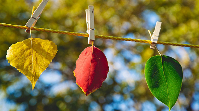 һ���һ��죬����ʮ���� ����,ʮ���� ɢ����� 113436xurxmatss323qmuq