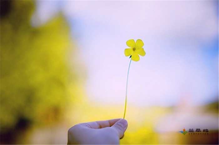 ����էй������һ��ʥ�� ����էй,һ��,ʥ�� �ִ�ʫ�� 172357f140w08aujjjczj8