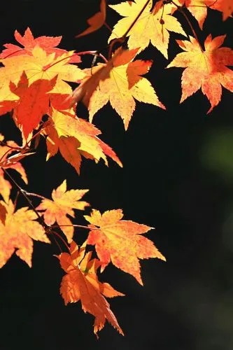 ���� ���� ���Ͻ��� 171036m59h2lpjc4o5u3n1