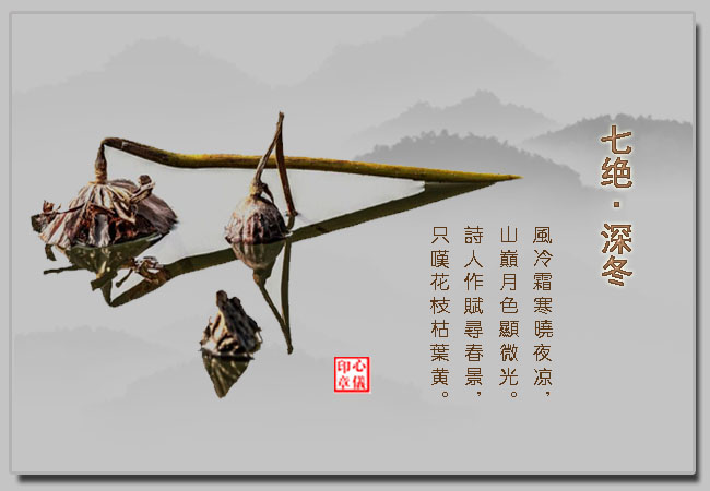 �߾���� �߾� ���Ͻ��� 185622ef9pl9fm3qdmm93f