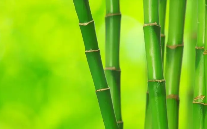 ���� �� ������ף� ���� ���Ͻ��� 104954m9xl7j9z5hjlqx4x