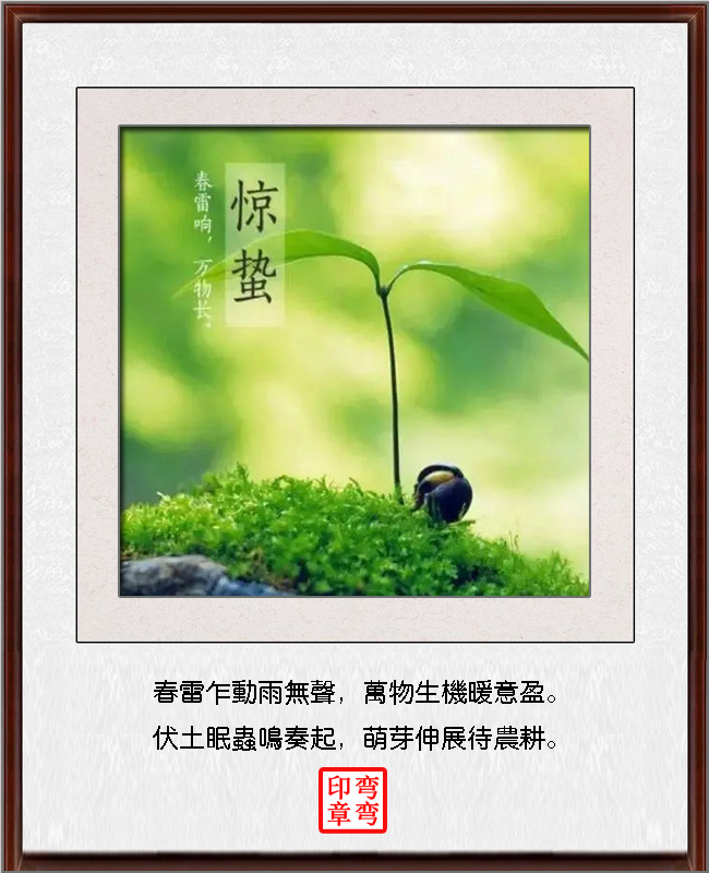 �߾������� �߾�,���� ���Ͻ��� 182810gdu4f5p5f578j50a