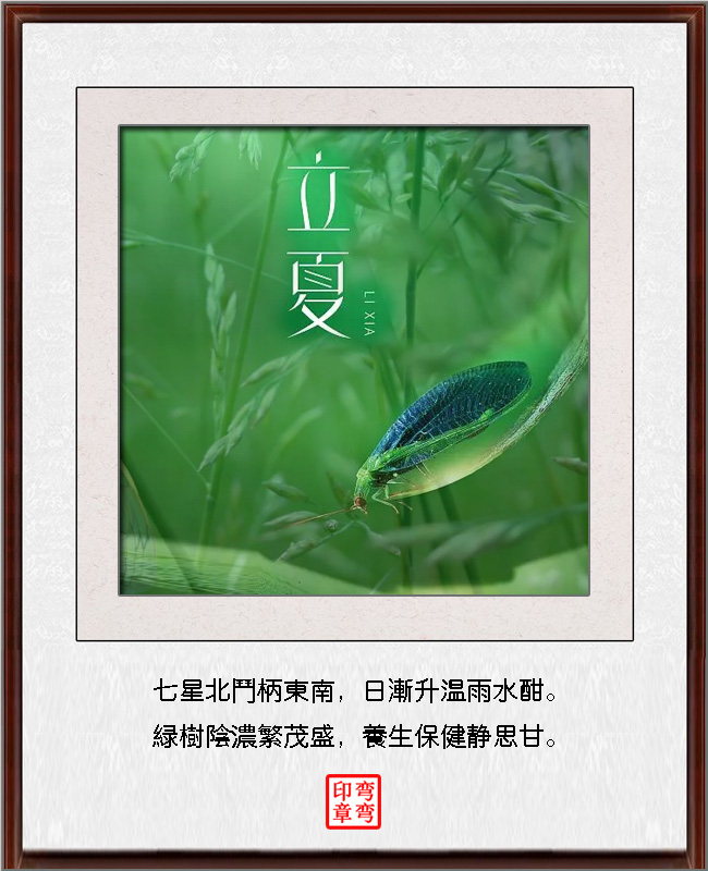 �߾������� �߾�,���� ���Ͻ��� 175637t4llnl4htdwlzehl