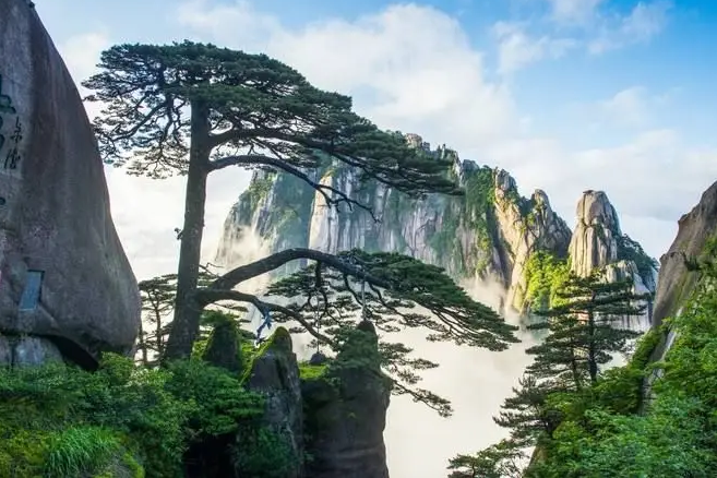 ��ɽ֮�� ��ɽ,֮�� ɢ����� 184841uh1b2g2g9mb8mimg