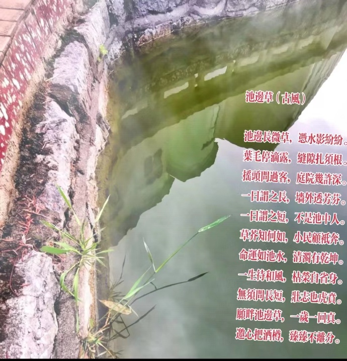 �ر߲� �ر� ���Ͻ��� 115906g7a42r46ifc7afgc