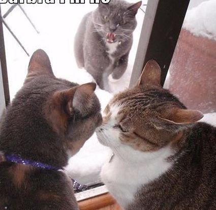 �Һ��� �Һ��� �ִ�ʫ�� 123256curfns4cpsqpyqkg