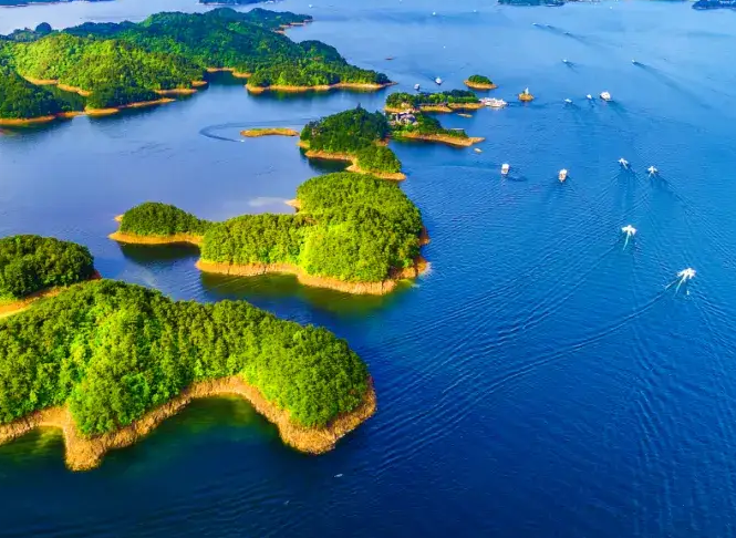 ǧ����ʰ�� ǧ���� ɢ����� 110103sc3227cj669723y2