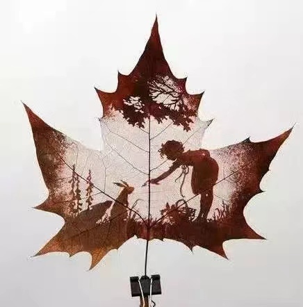 ��Ҷ ������û�п��õĺ����� ��Ҷ,û��,������ �ִ�ʫ�� 124318bqysy77111d7ll1m