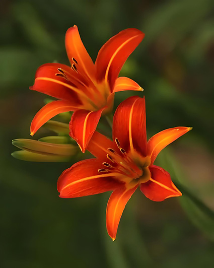 ���µĻ� ���µ� �ִ�ʫ�� 124239kznocupnhj5xceax