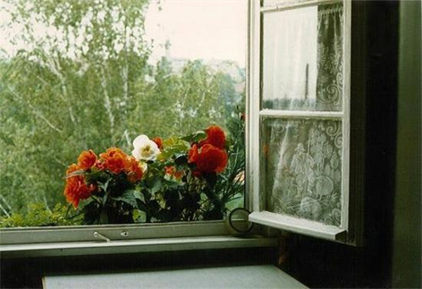 �����޺� �޺� ɢ����� 120437e5afka60mpkkqkqr