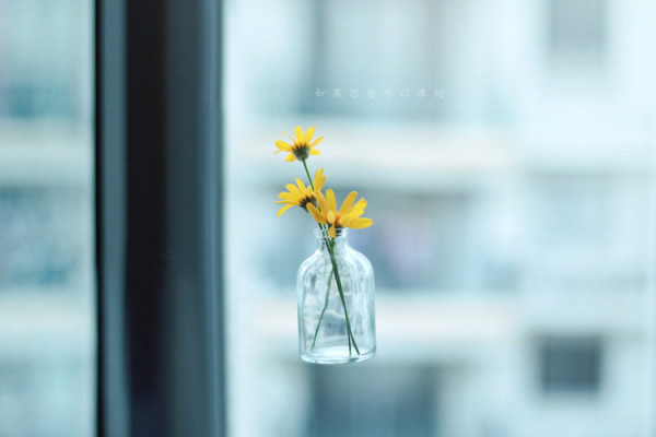 �㣬��һ��˶��������㣨�����ף� һ��,˶�� �ִ�ʫ�� 111902au540uu9ygk95uwy