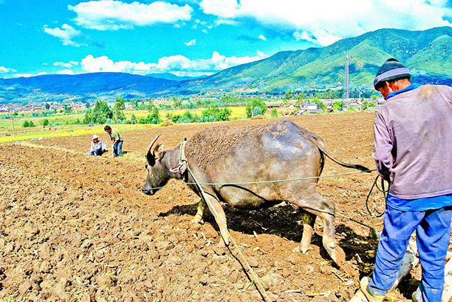 �ֵ� �ֵ� ɢ����� 102142gt0jsbgat7t0ape0