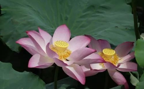 ��֮�������ϰ��ף� ���� ���Ͻ��� 111230p8ojtg1hrcjjx69j