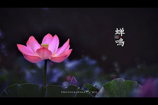 ����ĺɣ�������Ρ�  ɢ����� 134159mlrtccjdo4lzqjw9