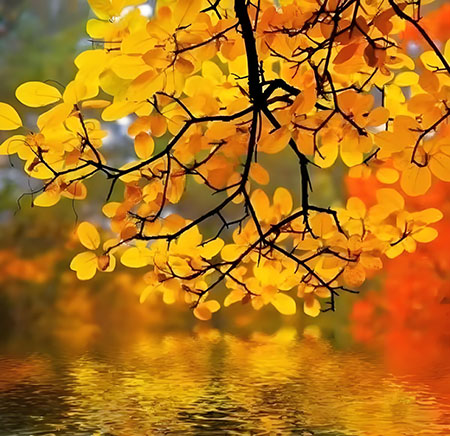 �߾����������  ���Ͻ��� 122217zg8hb93m0mabiq2m