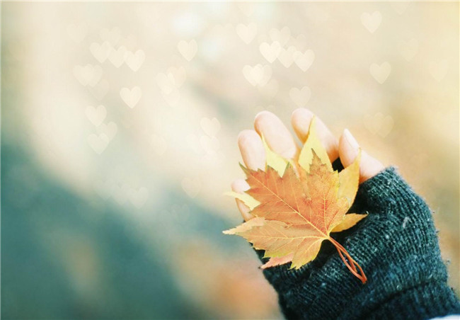 ����  ɢ����� 193641v5hrwzzsxllsmw5x