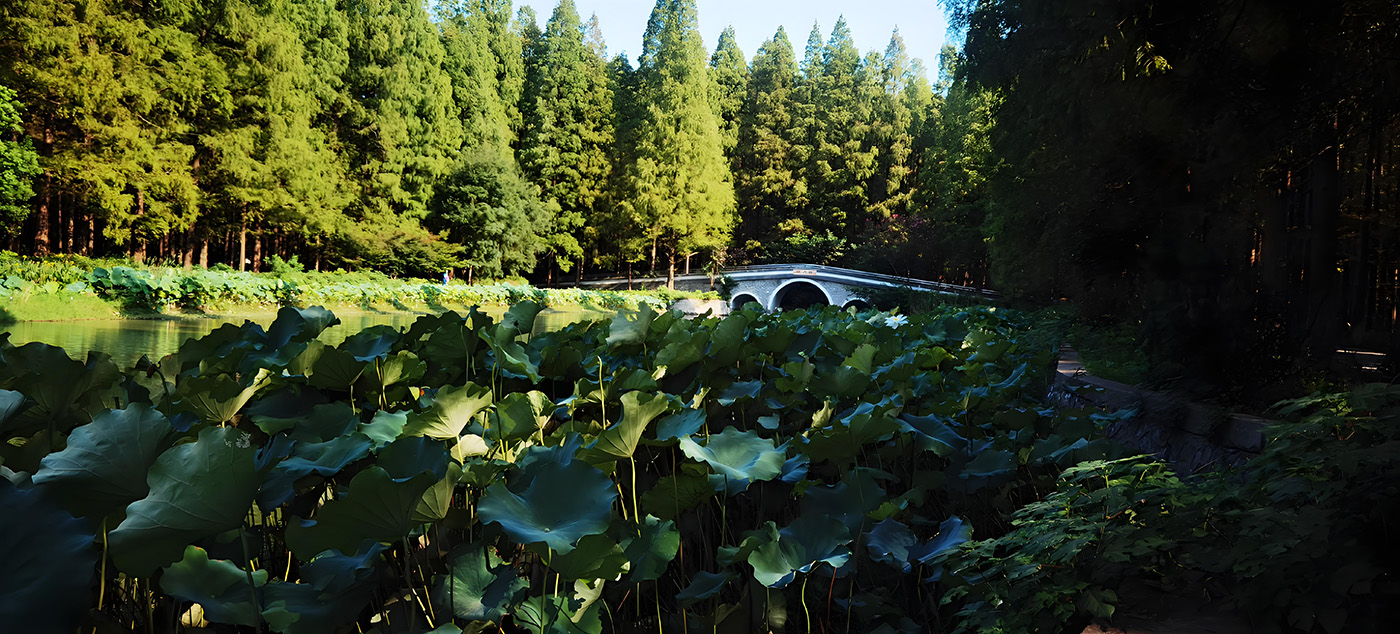 ��������԰��ܽ�ؼ��������  ���Ͻ��� 132350ctivmttnmgvx11sf