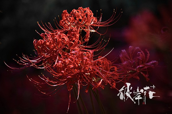 �˰���  �ִ�ʫ�� 124344b330z377bwt3bp7z