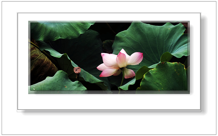 �����ڲ���  ɢ����� 124108o700d4o7a8dvz7xl