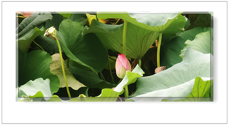   ɢ����� 124401g7vqfkgyv7sv4zmq