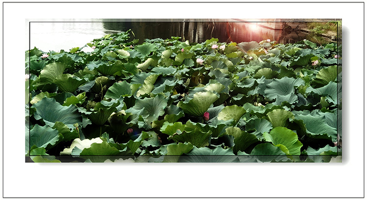   ɢ����� 124401ns0b65557u67shu8