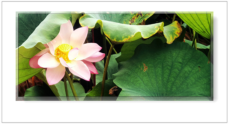   ɢ����� 124401prcczs7rf7bcgxrz