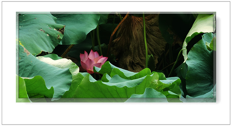   ɢ����� 124401ug6r3r3dd0d6f2g3