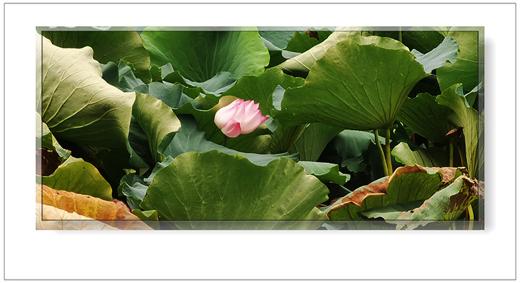   ɢ����� 124401ypki91ipn9nfz5i1