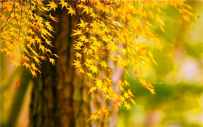 ���ﲻ�����ʫ��  �ִ�ʫ�� 145049u11jhgggg8nzgiej