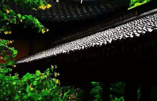 �峿����һ֦�������  �ִ�ʫ�� 144714nmyymk4y6vuh6mlq