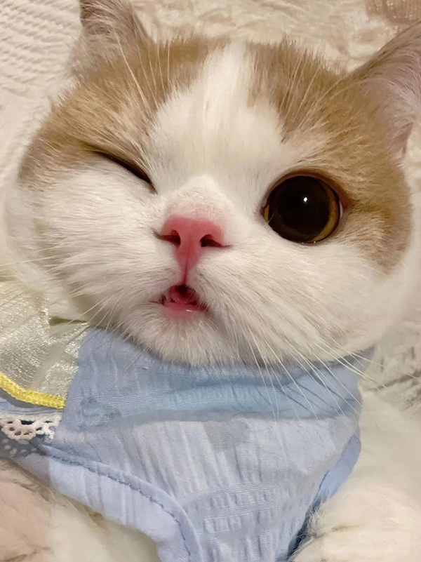 ʱ��1.�ɰ�������  �ִ�ʫ�� 120700xsv2wq5myyu65mbb