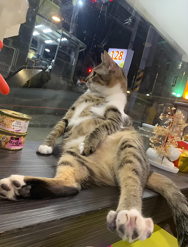 ʱ��8.���ܵ�����  �ִ�ʫ�� 113634ggm069fmdqvli3g6