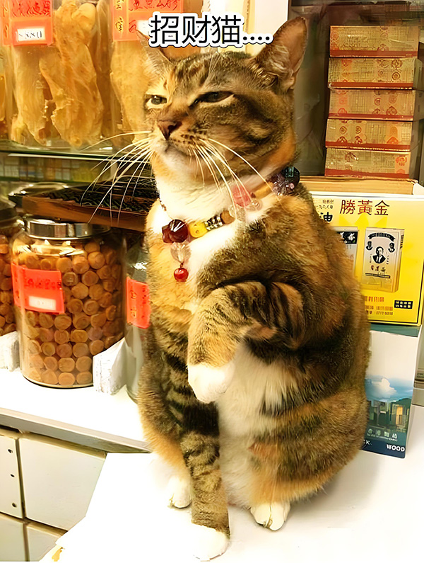 ʱ��9.�ڴ�������  �ִ�ʫ�� 114309esn20gnhmuhx7uhw