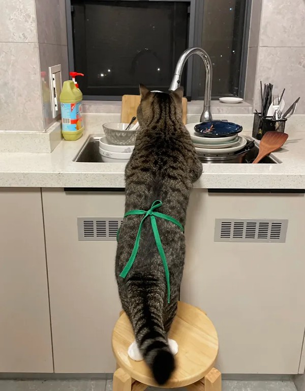 ʱ��11.����������  �ִ�ʫ�� 121208o8poxvddmke1tu82