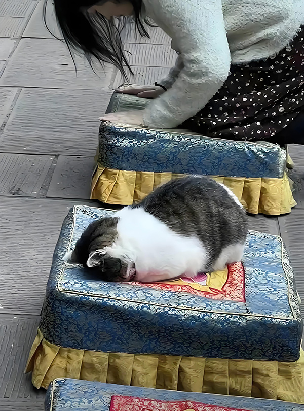 ʱ��13.���������  �ִ�ʫ�� 123738c6e58pep8l9wrb5j