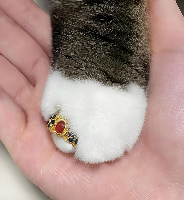 ʱ��14.���������  �ִ�ʫ�� 124401sfhfmn7pqcedn1rv