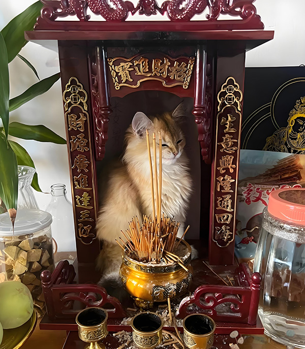 ʱ��16.׷�������  �ִ�ʫ�� 123454p5eg5x689eoxveaf