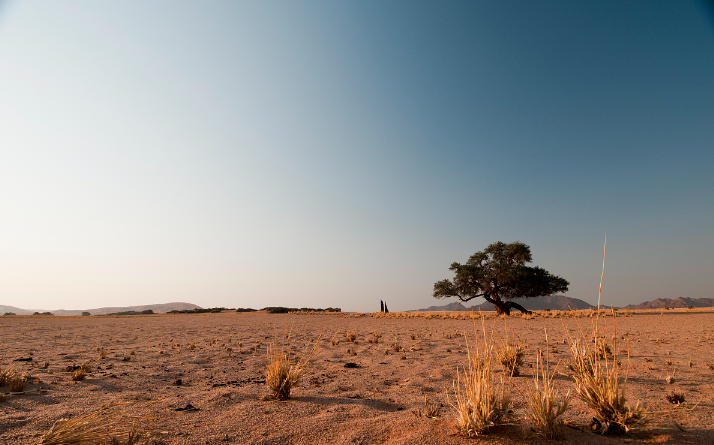 ������  �ִ�ʫ�� 115845u7drd2grdtrsb4b1