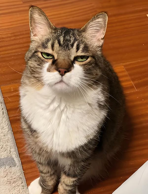 ʱ��22.���ڵ�����  �ִ�ʫ�� 121744lu7y1zf74a1c5bfk