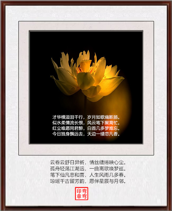 �������ס�������  ���Ͻ��� 205821yn645f4oxqpa8puq