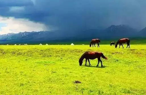 �磬Ұ������  �ִ�ʫ�� 161449kp8pz8oeelx7akpl