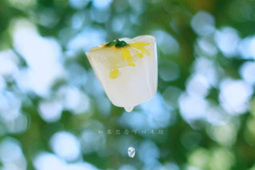 ����֮�ң�������  �ִ�ʫ�� 082104sfr5s5p0fgrgipff