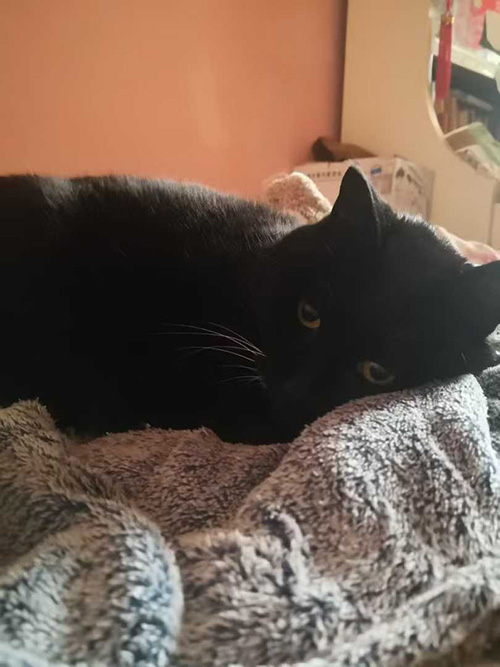 ����ʫ������  ���Ͻ��� 120129scg08joeuqvrqc8o