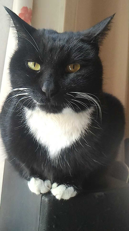 ��������˵Ĵ��� ����Ҳ����˵���ǿ  ɢ����� 121811ei1qdg8szycz9cic