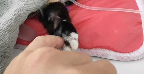 ��������˵Ĵ��� ����Ҳ����˵���ǿ  ɢ����� 121811nrk0gct1z6hcztu5