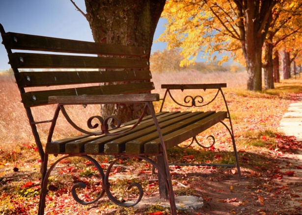 ��Ҷ������ʫ��  �ִ�ʫ�� 083748m3kayr4va353i35v