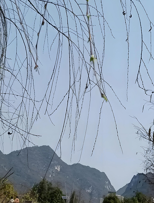 ��  ���Ͻ��� 114701cwgzpn749wan9fnz