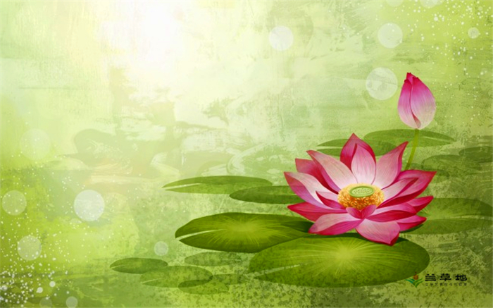 �������£����  ɢ����� 174709kgeo461ohyido44h