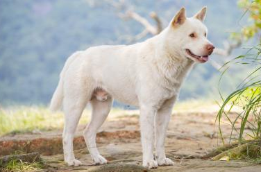 ���ˡ��ǹ�  ��ƪС˵ 150310r40qg5e5h94ej5pj